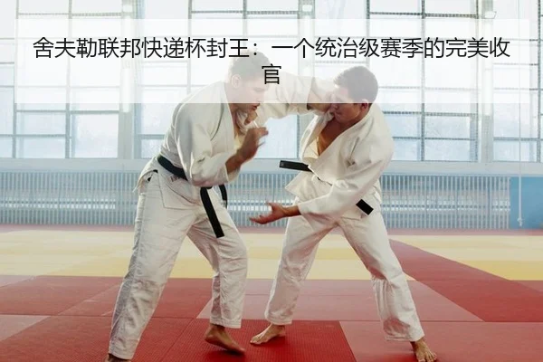 舍夫勒联邦快递杯封王：一个统治级赛季的完美收官